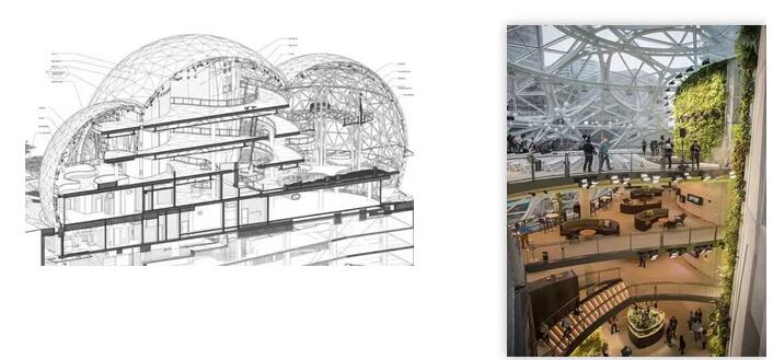 1559182399107353.jpg 9.jpg