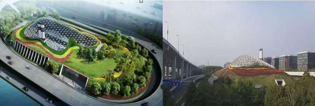 1559182487667396.jpg 11.jpg